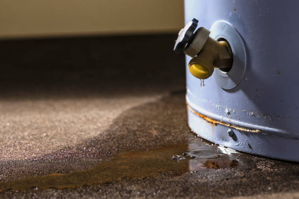  Frederick, CO Water damage restoration Pros