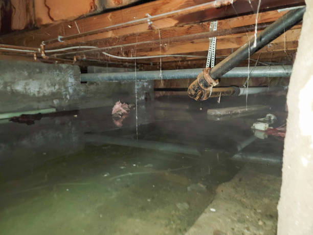 Best 24/7 water damage repair  in Frederick, CO