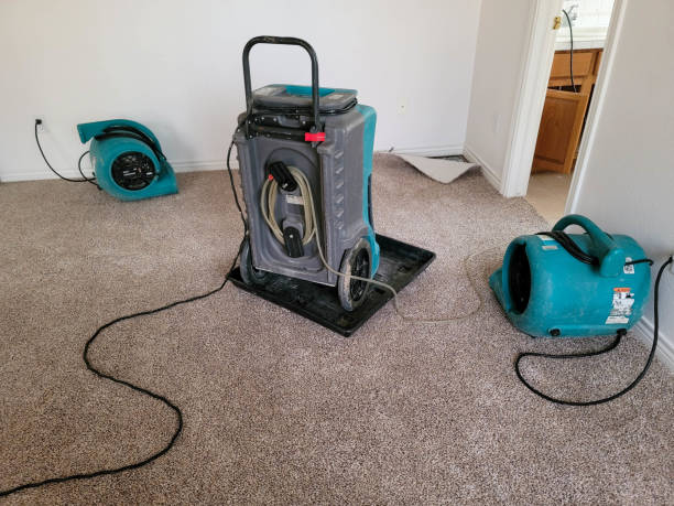 Best Flooded house restoration  in Frederick, CO