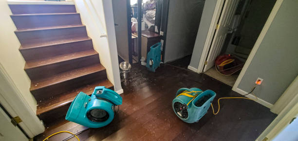 Best Water damage cleanup near me  in Frederick, CO