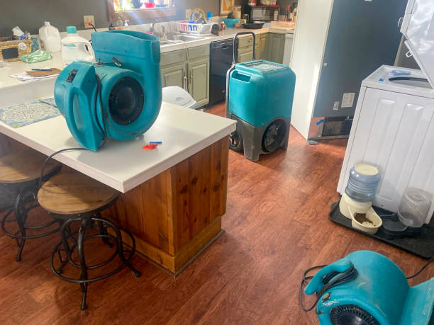 Best Carpet water damage restoration  in Frederick, CO
