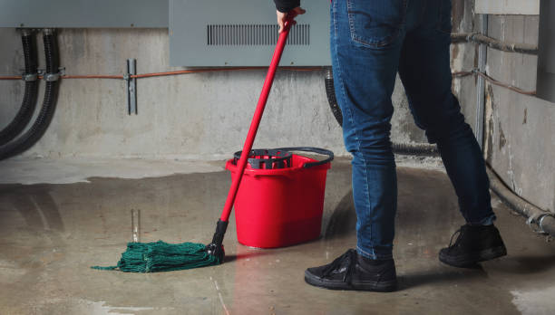 Best Water damage restoration services  in Frederick, CO