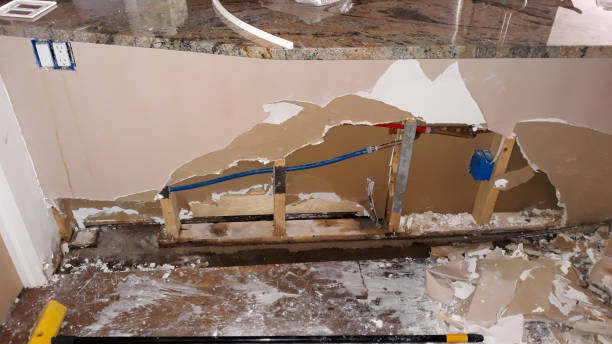 Best Residential water damage restoration  in Frederick, CO