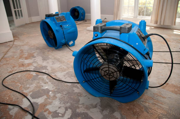 Best Water damage contractors near me  in Frederick, CO