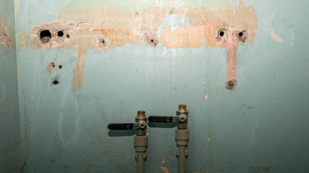 Best Commercial water damage restoration  in Frederick, CO