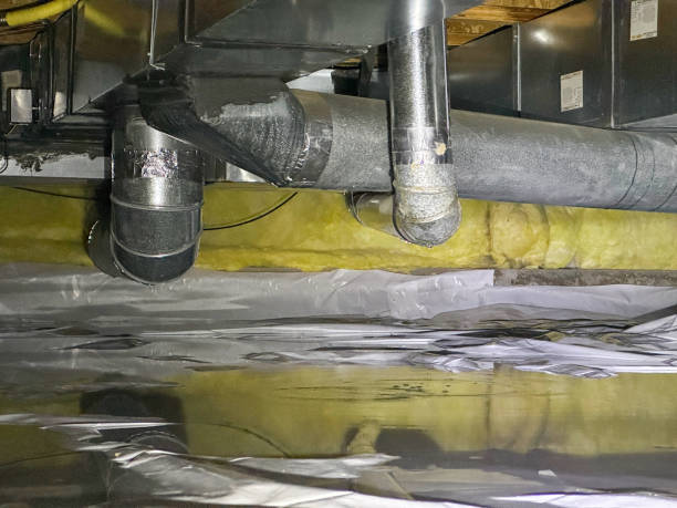 Best Fire Damage Restoration  in Frederick, CO
